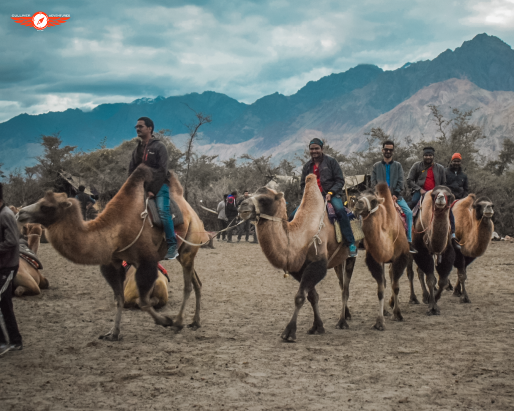 Best Time To Visit Ladakh 2023